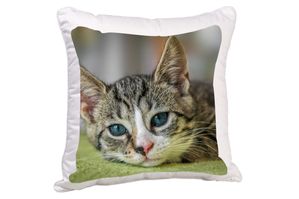 Fotopolštář z 1 fotky obrázek 1