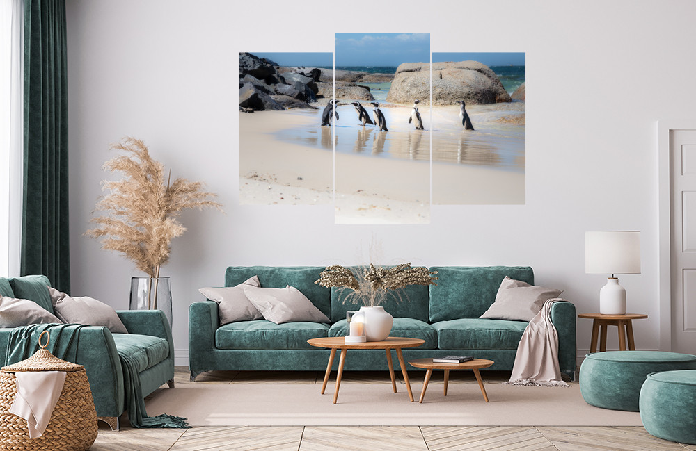 Tučňák brýlový obrázek 1