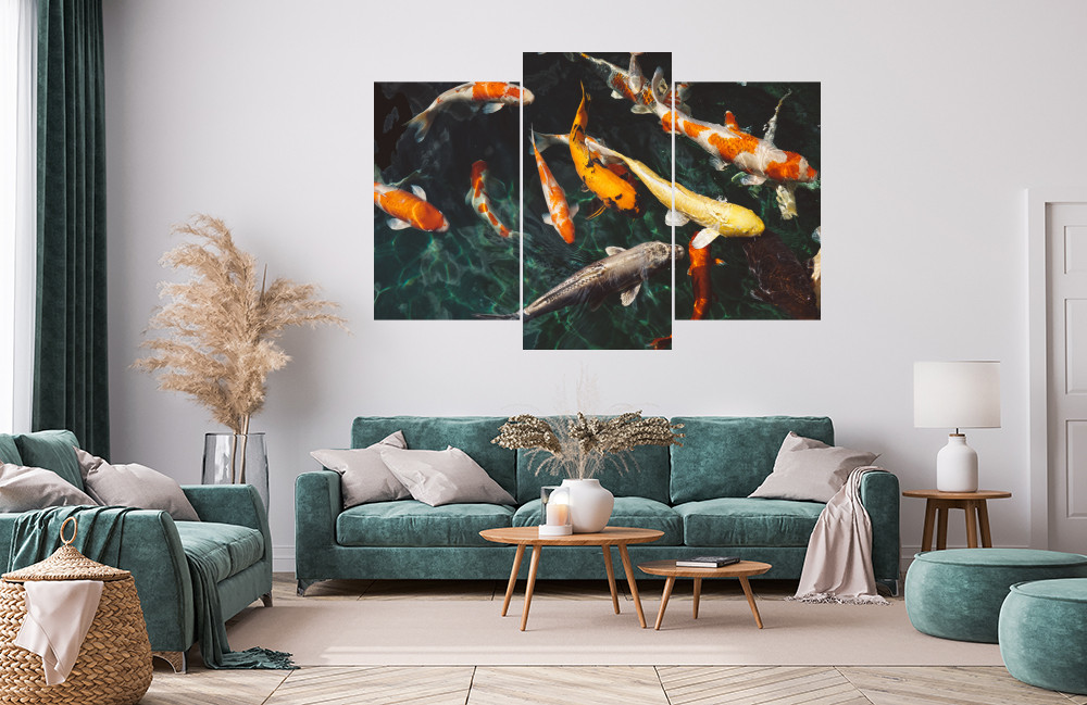 Koi kapři obrázek 1