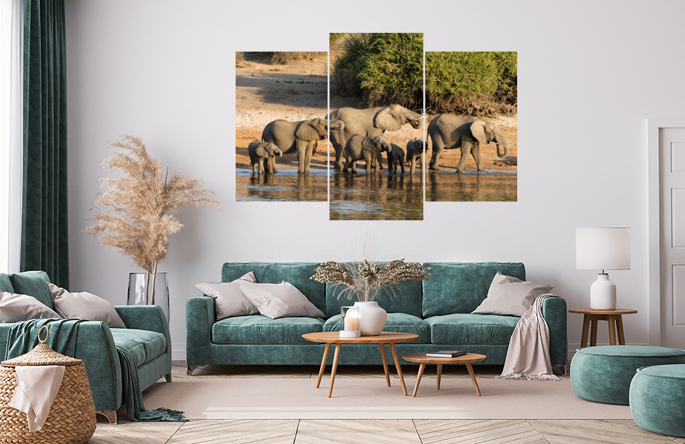 Sloni u napajedla obrázek 1