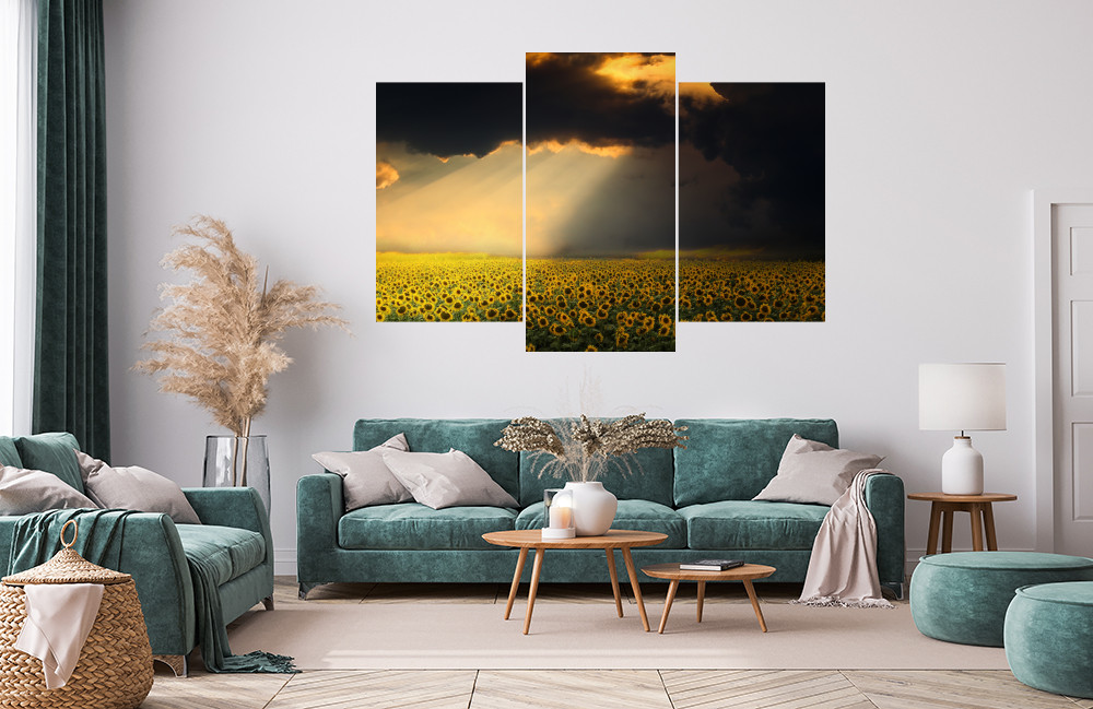 Bouřlivé pole slunečnic obrázek 1