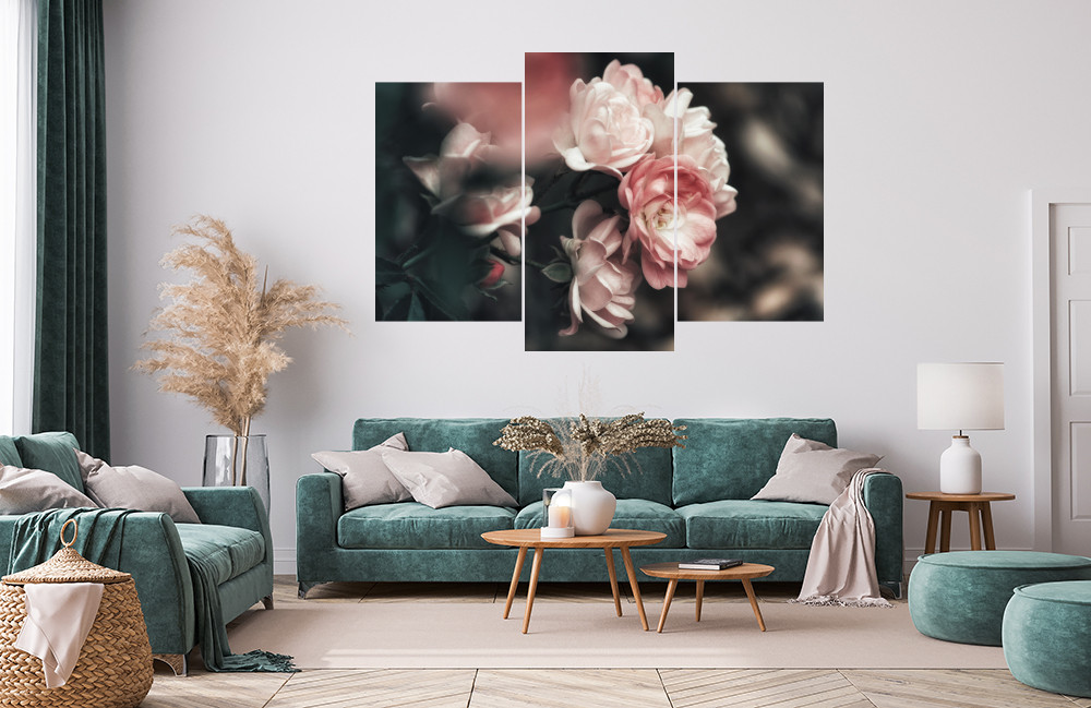 Růžový keř obrázek 1