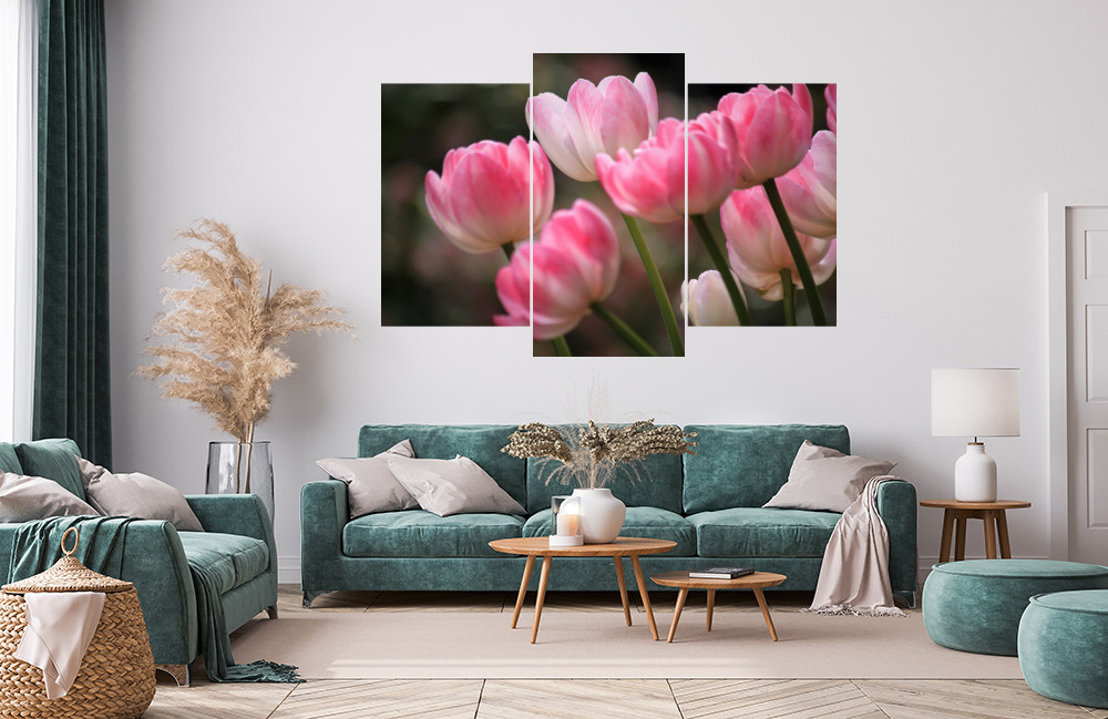 Růžové tulipány obrázek 1