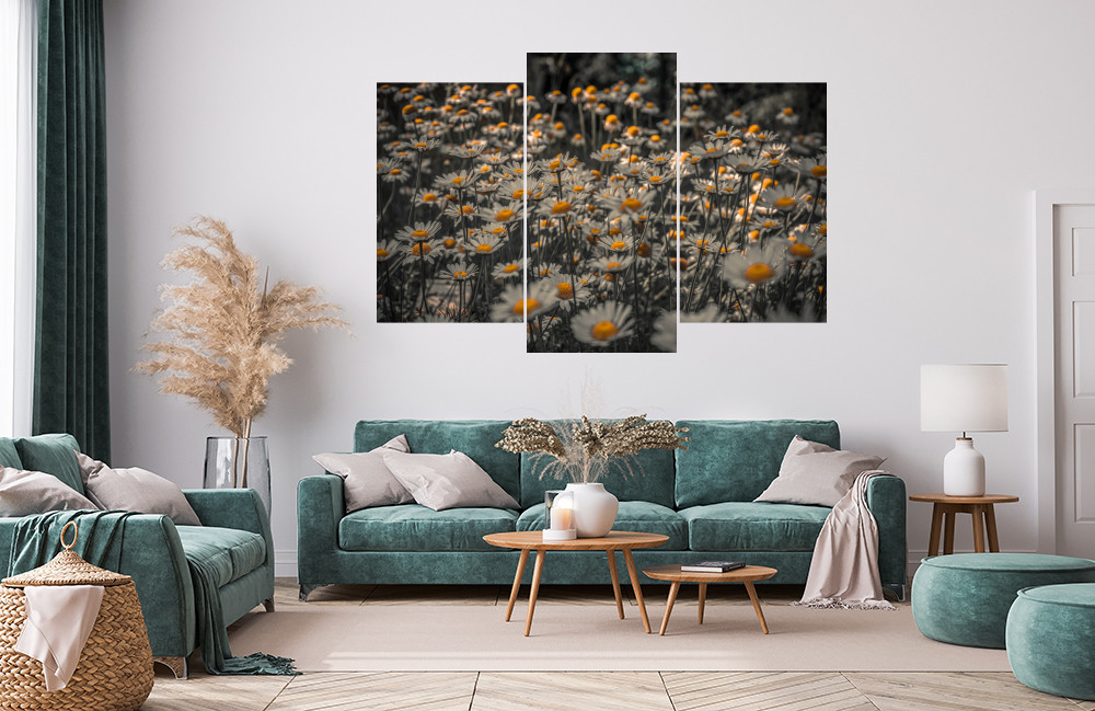 Kopretiny obrázek 1