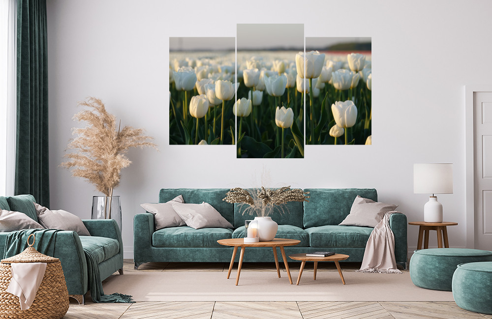 Bílé tulipány obrázek 1